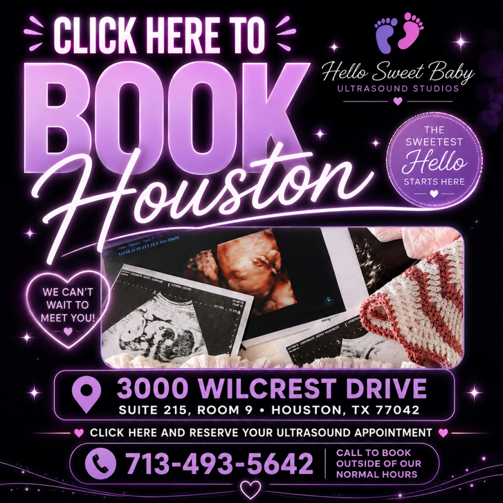 book-houston.webp