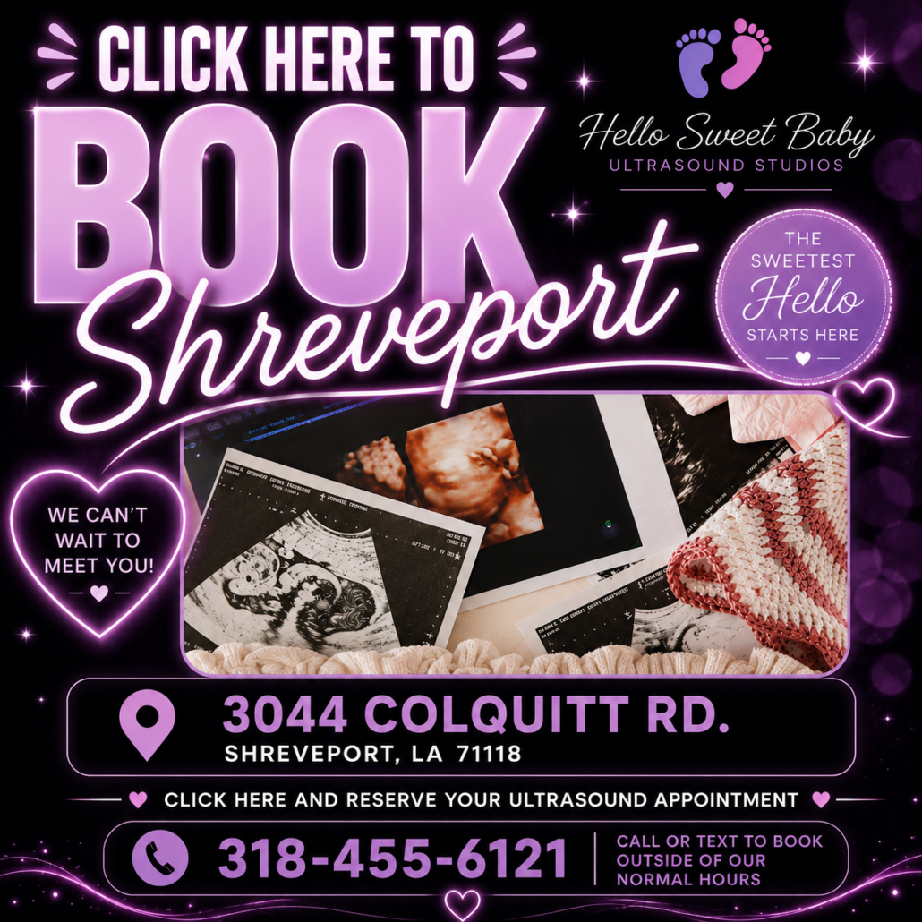 book-shreve.webp